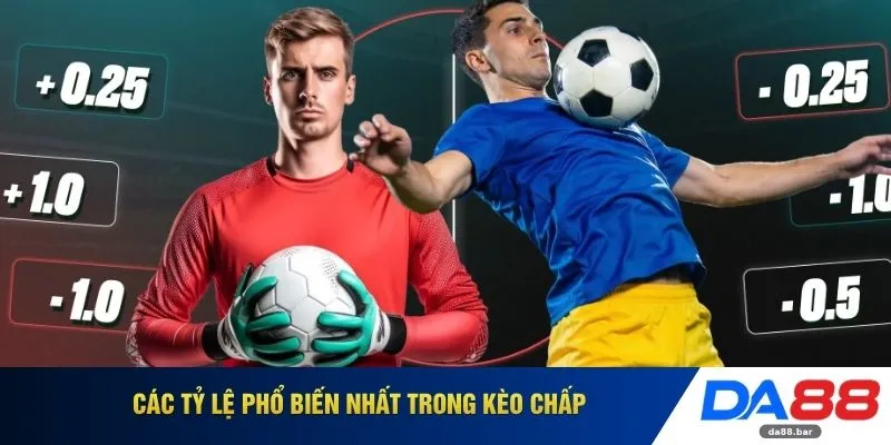 Các tỷ lệ phổ biến nhất trong kèo chấp