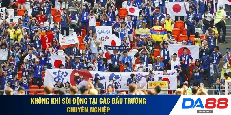 Không khí sôi động tại các đấu trường chuyên nghiệp